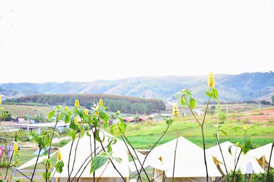 Kondee Cino Cafe & Glamping Hotel Khao Kho Exterior foto